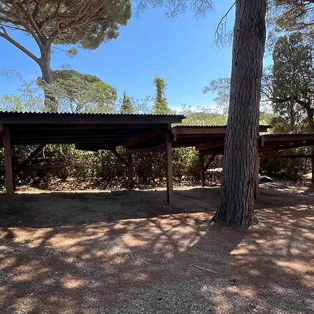 Golfe De St Tropez Mas Provencal Bord De Patio Et Piscine Vila Grimaud
